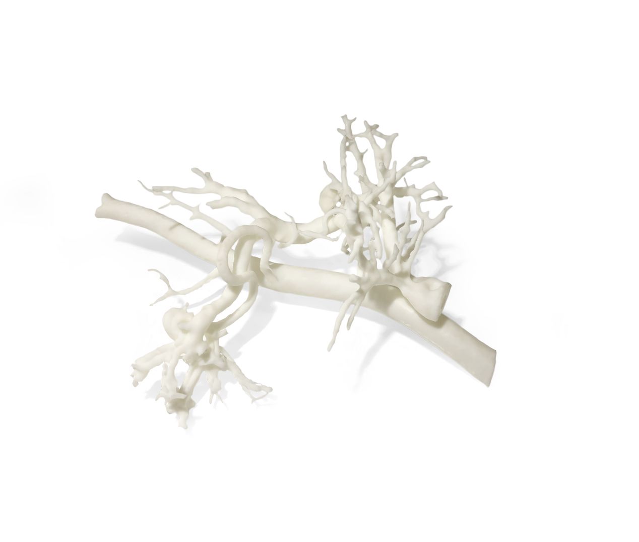 醫(yī)療行業(yè)增材制造3D打印技術(shù)的突破