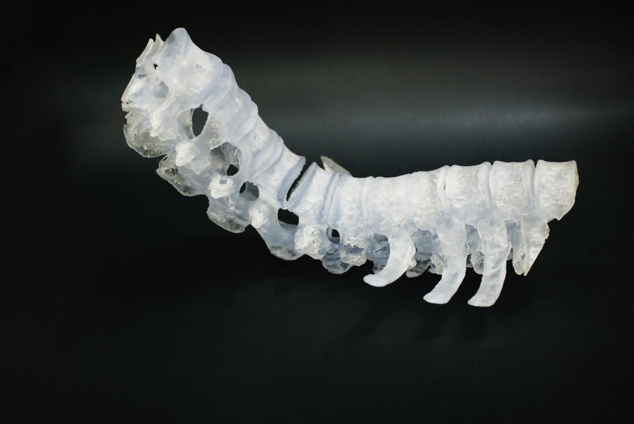 醫(yī)療專用3D打印機品牌