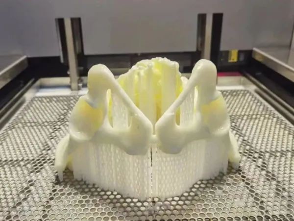 醫(yī)療3D打印技術(shù)